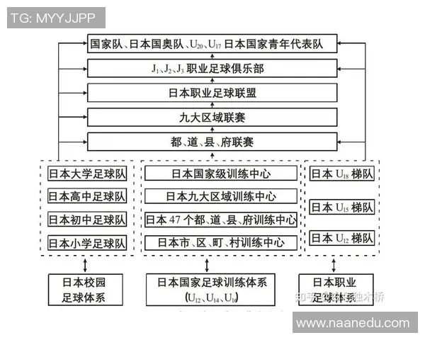 足球冬训市场新机遇探讨如何提升球队竞争力与青训发展